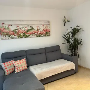 https://parrots-house.topcostabravahotels.com